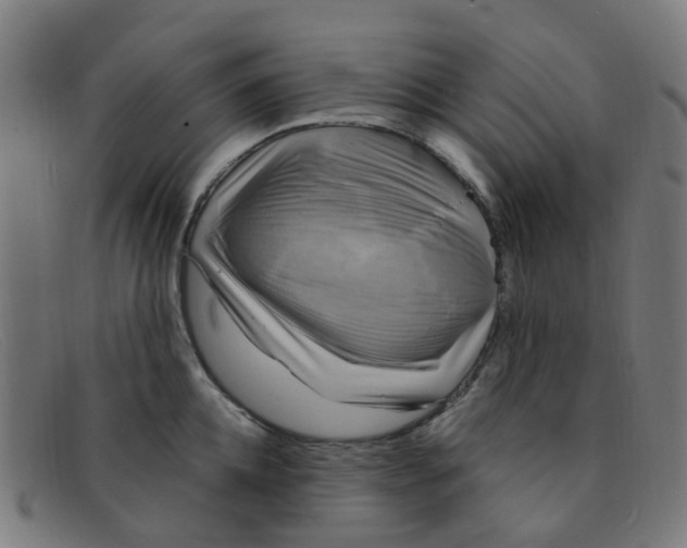 X0000091500952200709131848