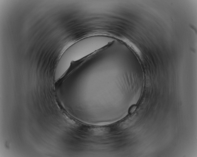 X0000091500953200709131848