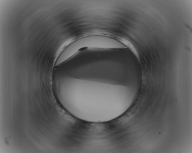 X0000091500954200709131848