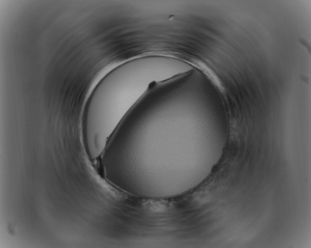 X0000091500955200709131848