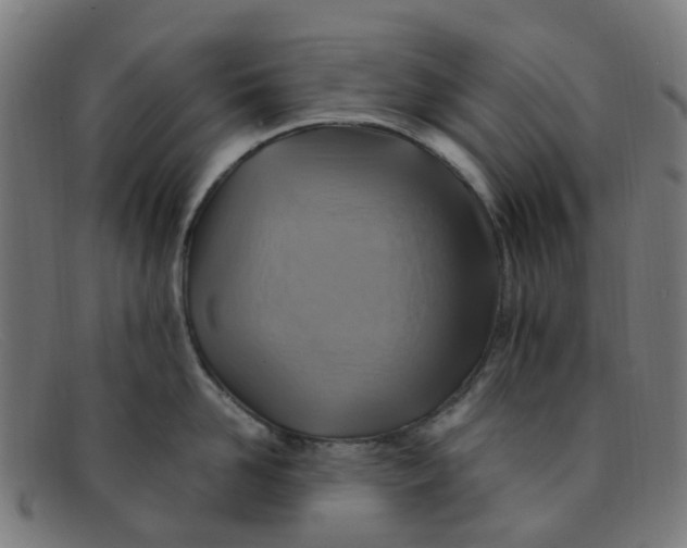 X0000091500958200709131848