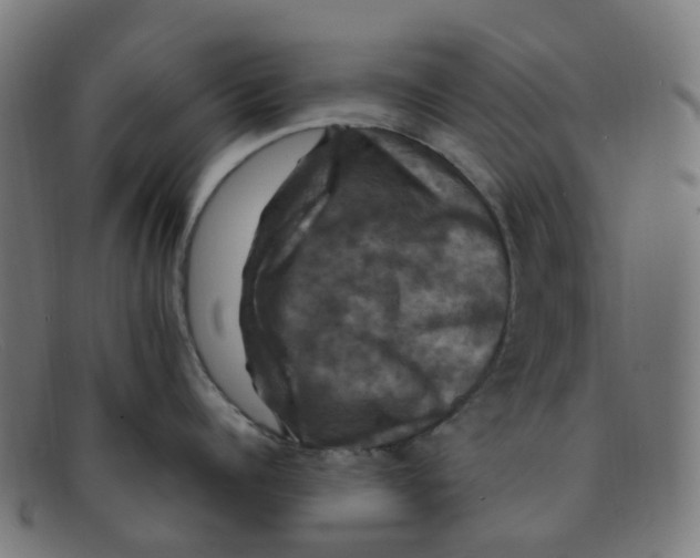 X0000091500960200709131848