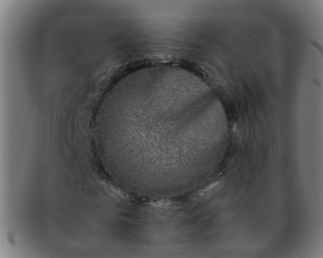 X0000091500961200709131847