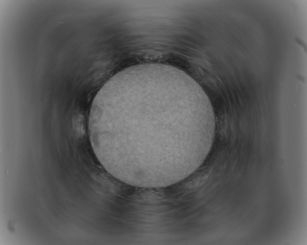 X0000091500962200709131847