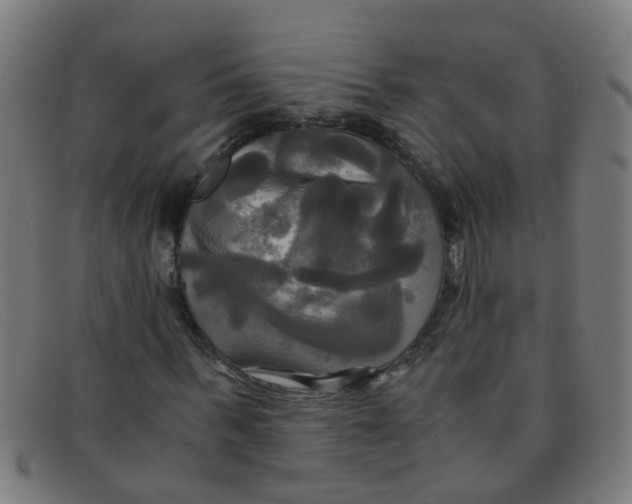 X0000091500963200709131847