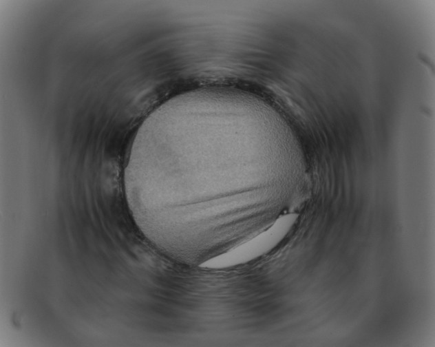 X0000091500964200709131847