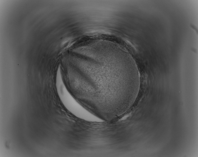 X0000091500965200709131847