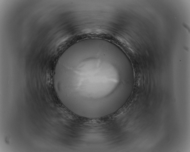 X0000091500966200709131847