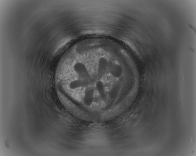 X0000091500967200709131847