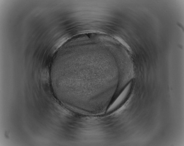 X0000091500969200709131847