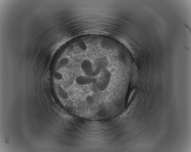 X0000091500971200709131847