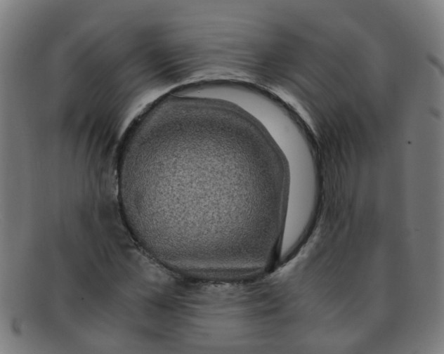 X0000091500973200709131847