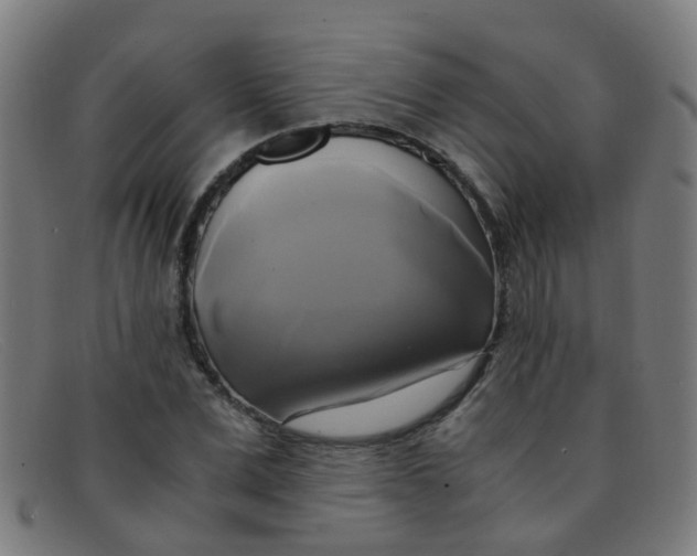 X0000091500975200709131847