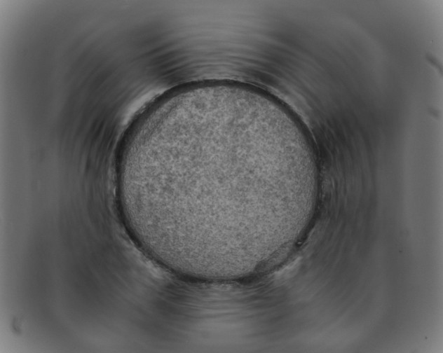 X0000091500979200709131847