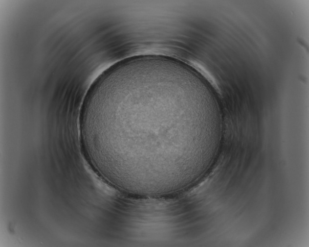 X0000091500980200709131847