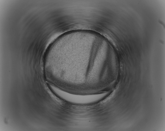 X0000091500981200709131847