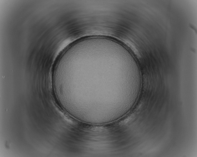 X0000091500982200709131847