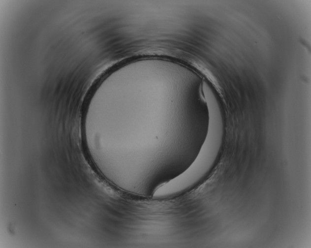 X0000091500984200709131847