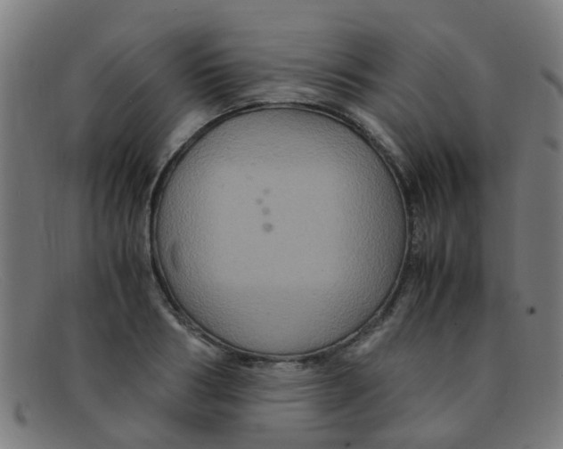 X0000091500986200709131847