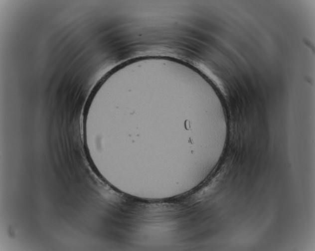 X0000091500988200709131847