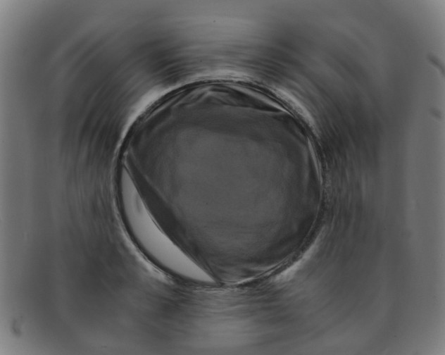 X0000091500989200709131847