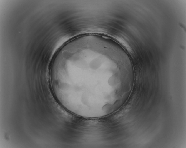 X0000091500990200709131847