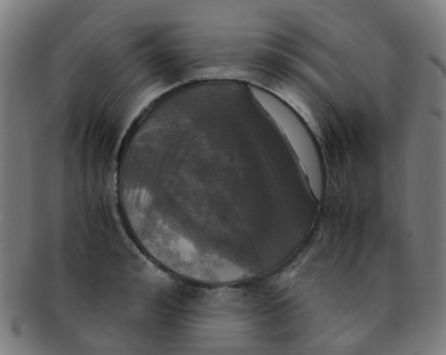 X0000091500992200709131847