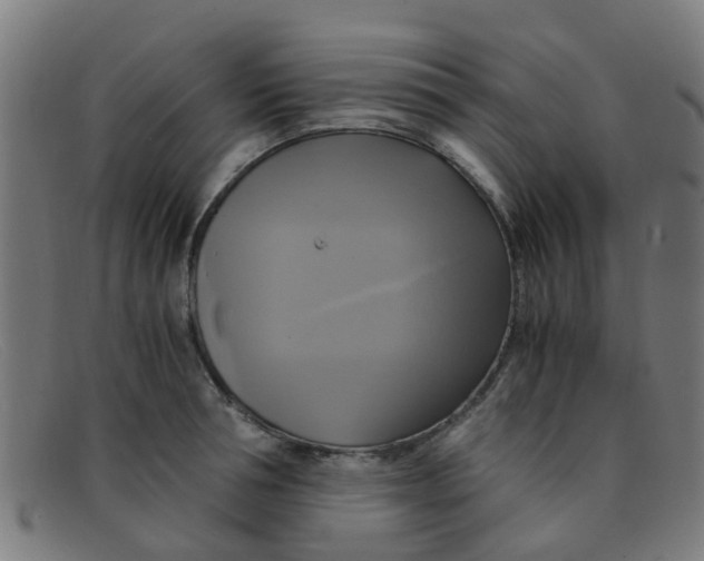 X0000091500994200709131847