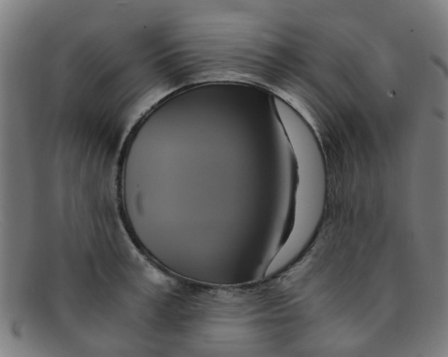 X0000091500995200709131847