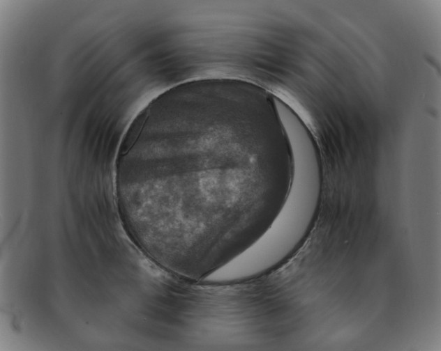 X0000091500996200709131847