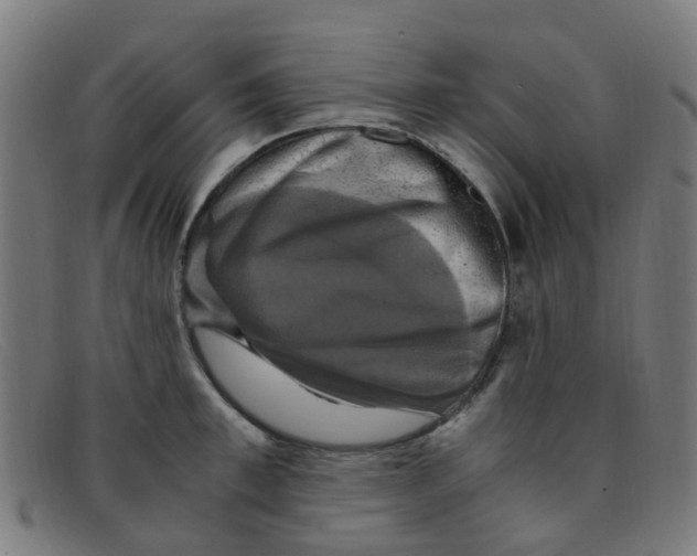 X0000091500997200709131847