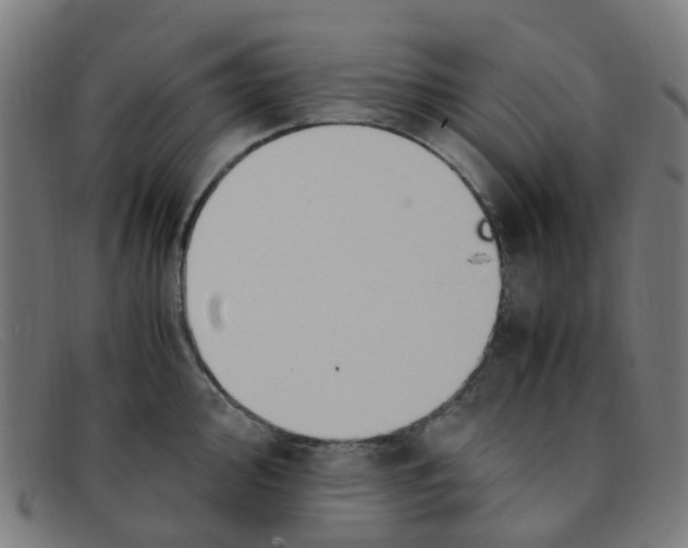 X0000091501000200709131846