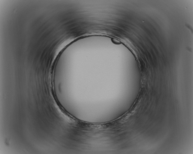 X0000091501003200709131846