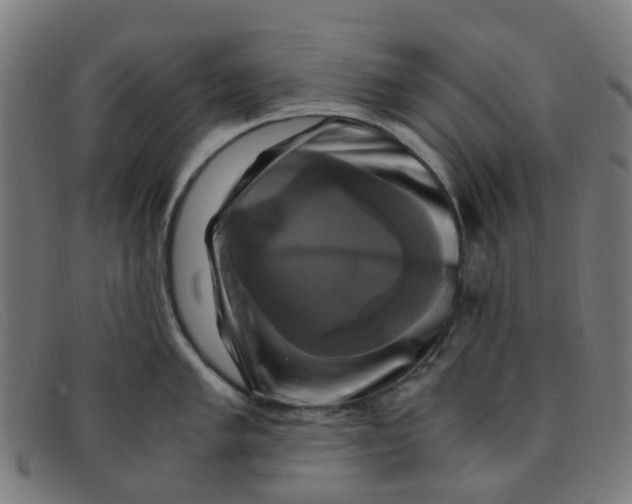 X0000091501005200709131846