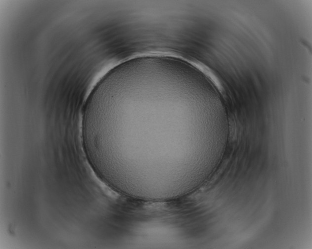 X0000091501006200709131846