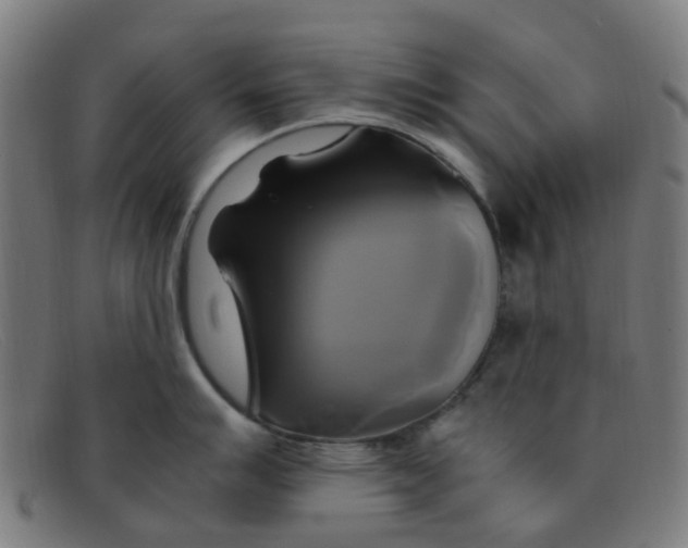 X0000091501007200709131846