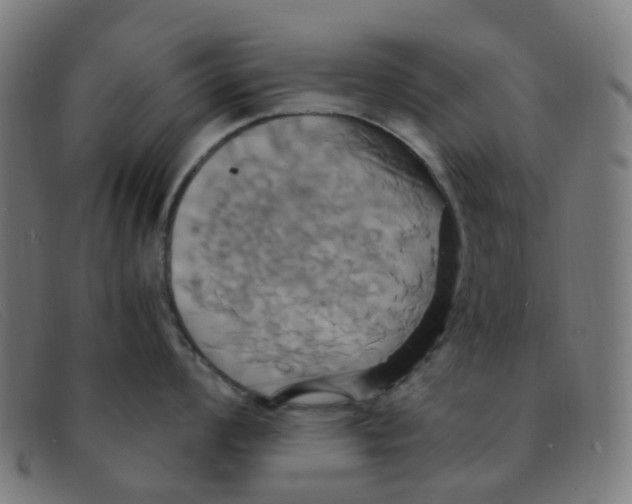 X0000091501008200709131846