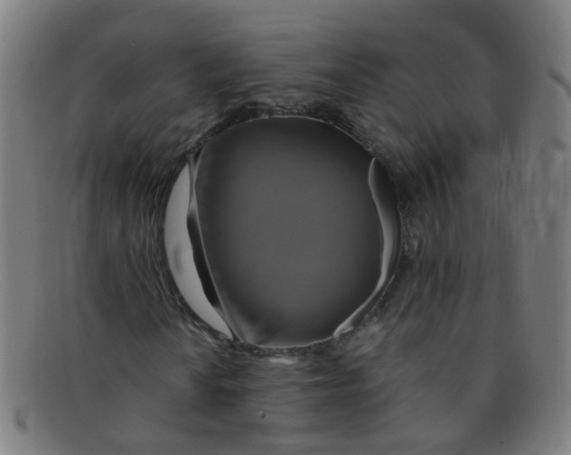 X0000091501010200709131846