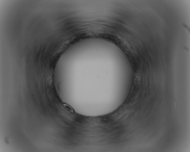 X0000091501012200709131846