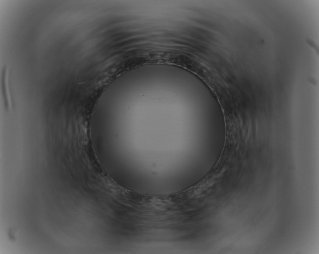 X0000091501013200709131846