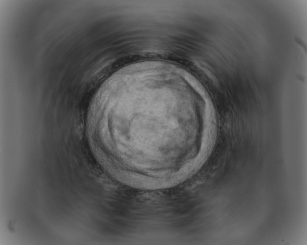 X0000091501015200709131846