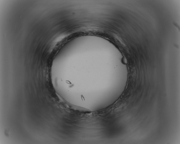 X0000091501016200709131846