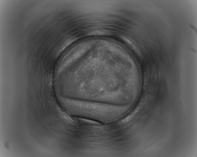 X0000091501017200709131846