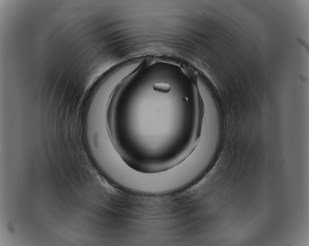 X0000091501018200709131846