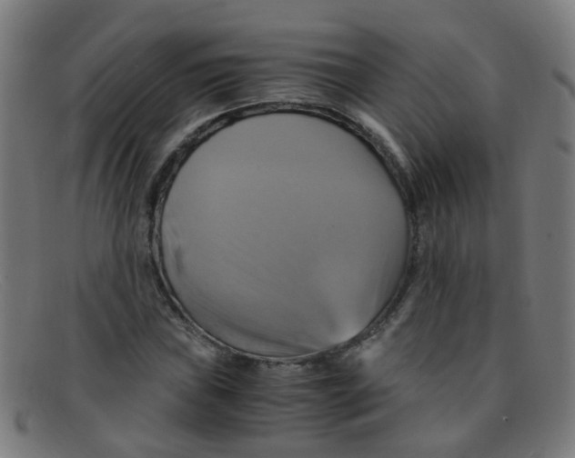 X0000091501019200709131846