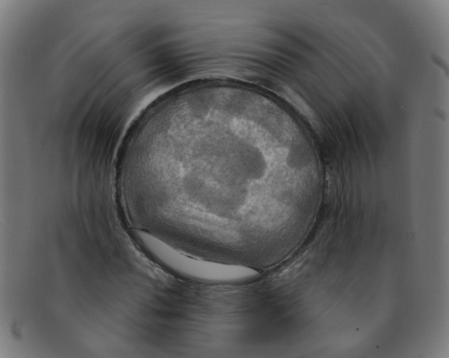 X0000091501020200709131846