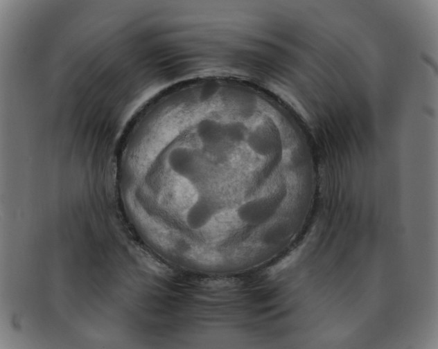 X0000091501021200709131846