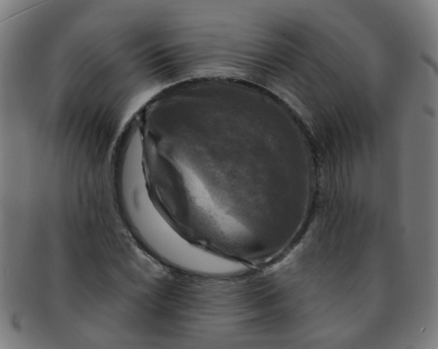 X0000091501022200709131846