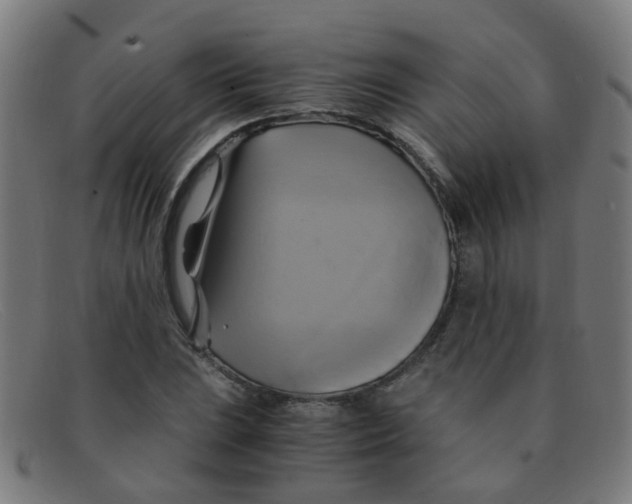 X0000091501023200709131846