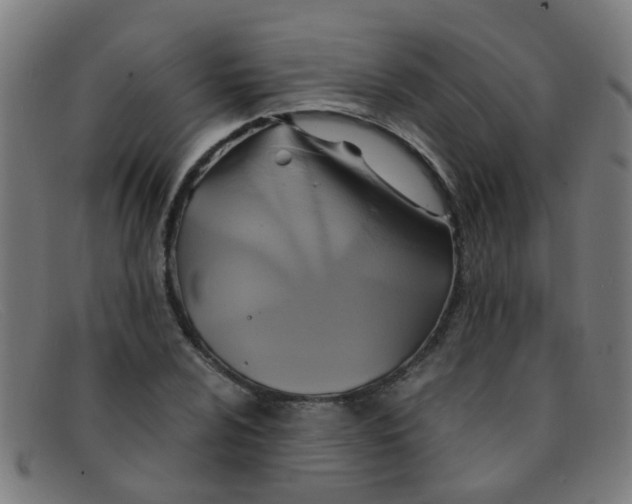 X0000091501024200709131846